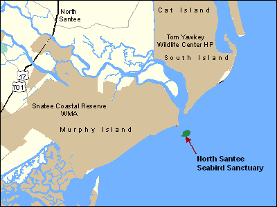 North Santee Bar Seabird Sanctuary