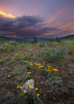 Carter Mountain Unit