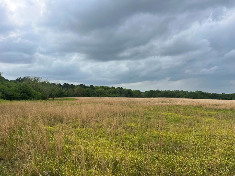 80.56 acres in Newville, AL. for lease