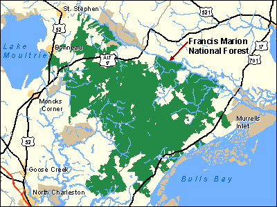 Francis Marion National Forest