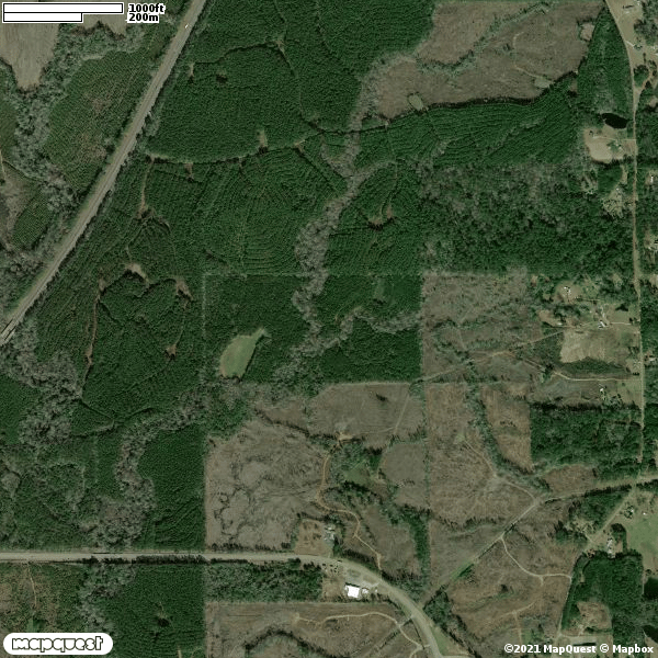 2300 acres - Butler, AL