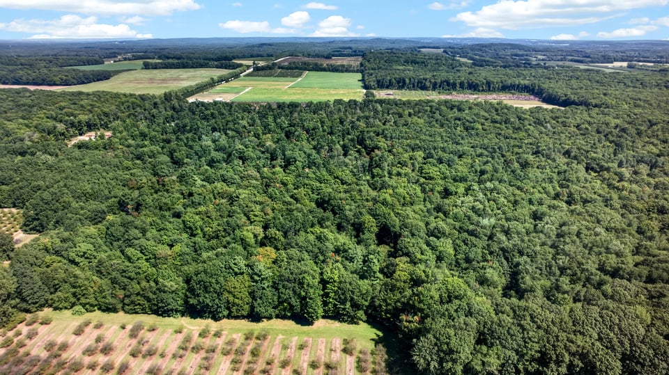 37 acres Private and 40 acres CFA for lease with hunting cottege in Oceana