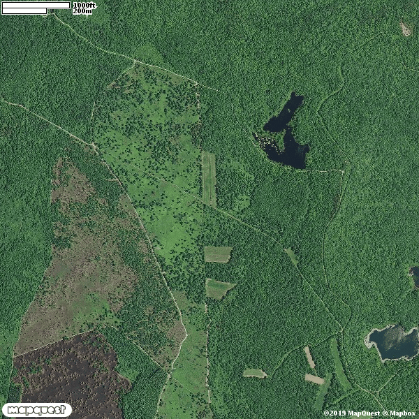 Delaware State Forest