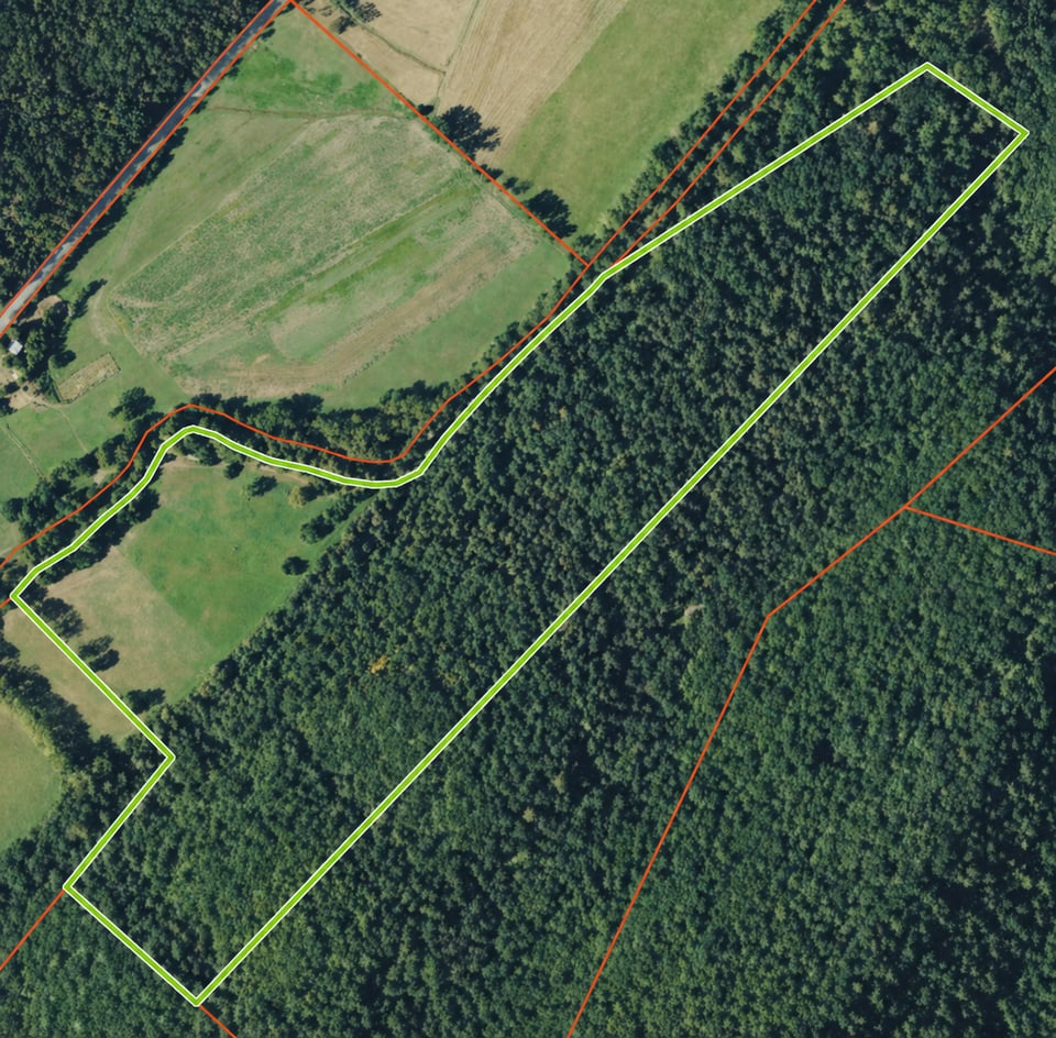 Mineral county hunting land