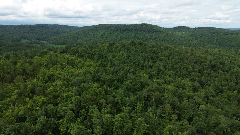 105 acres in Wayne Co. for lease ***UPDATED PRICE AGAIN***