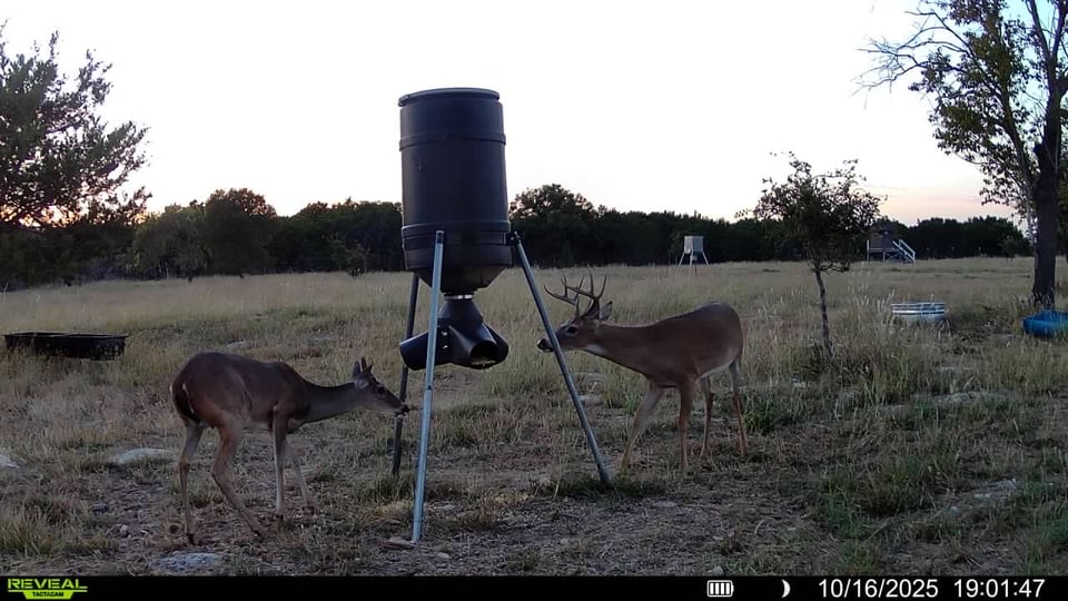 30 acres - Burnet, Texas
