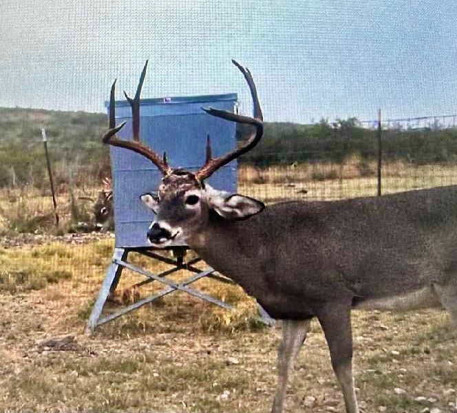 Rocksprings hunting land for lease