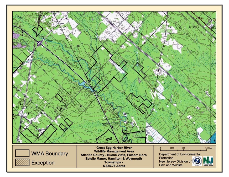 Great Egg Harbor River Wildlife Management Area - Folsom