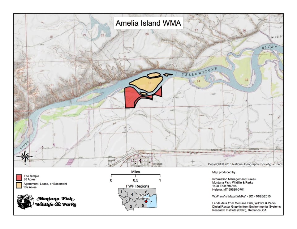 Amelia Island WMA