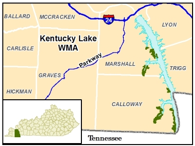 Kentucky Lake WMA