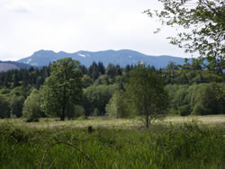 Kiona Creek Unit