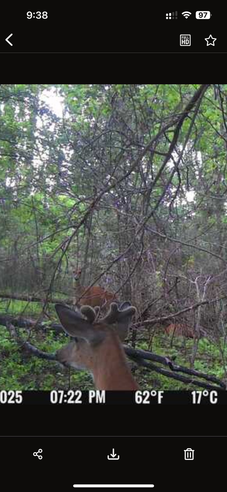25 acres - Brooklyn, Michigan