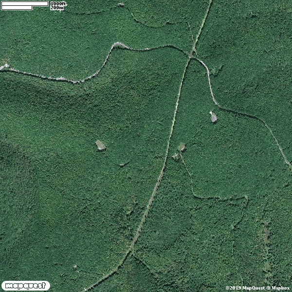 Susquehannock State Forest