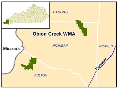 Obion Creek WMA