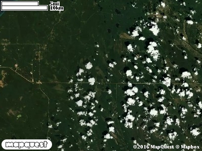 Seney Manistique Swamp