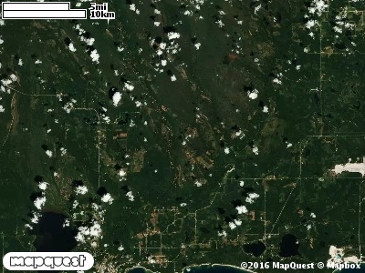 Seney Manistique Swamp