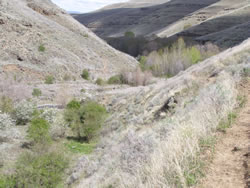 George Creek Unit