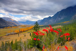 Similkameen-Chopaka Unit