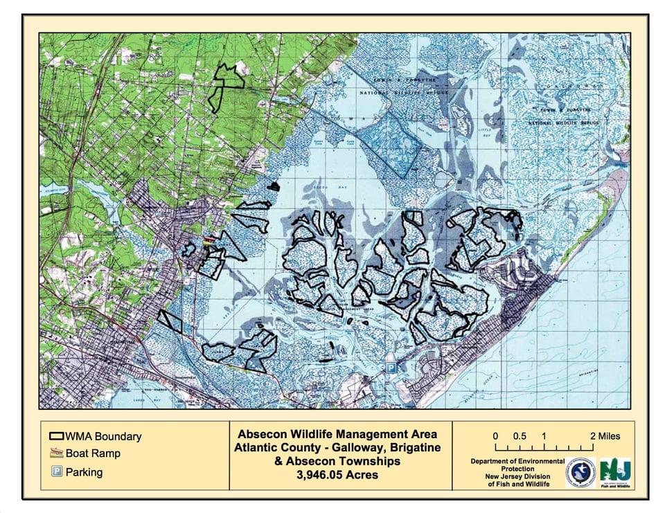 Absecon Wildlife Management Area