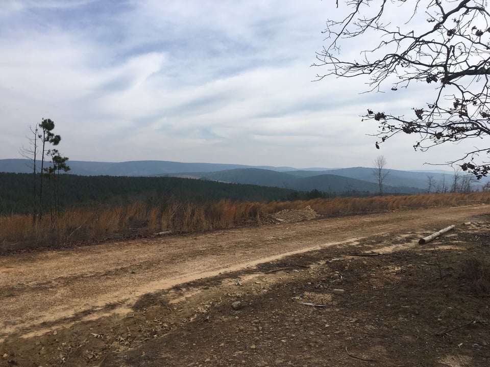 Excellent hunting opportunity Pushmataha, Oklahoma