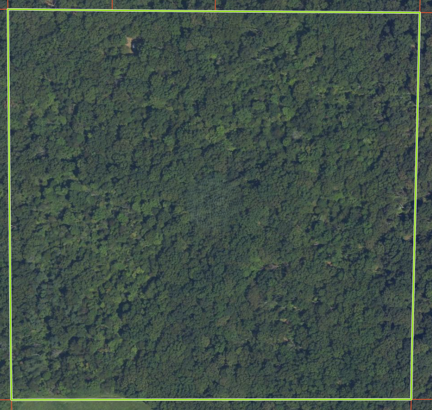 47 acres - Macedonia, Illinois