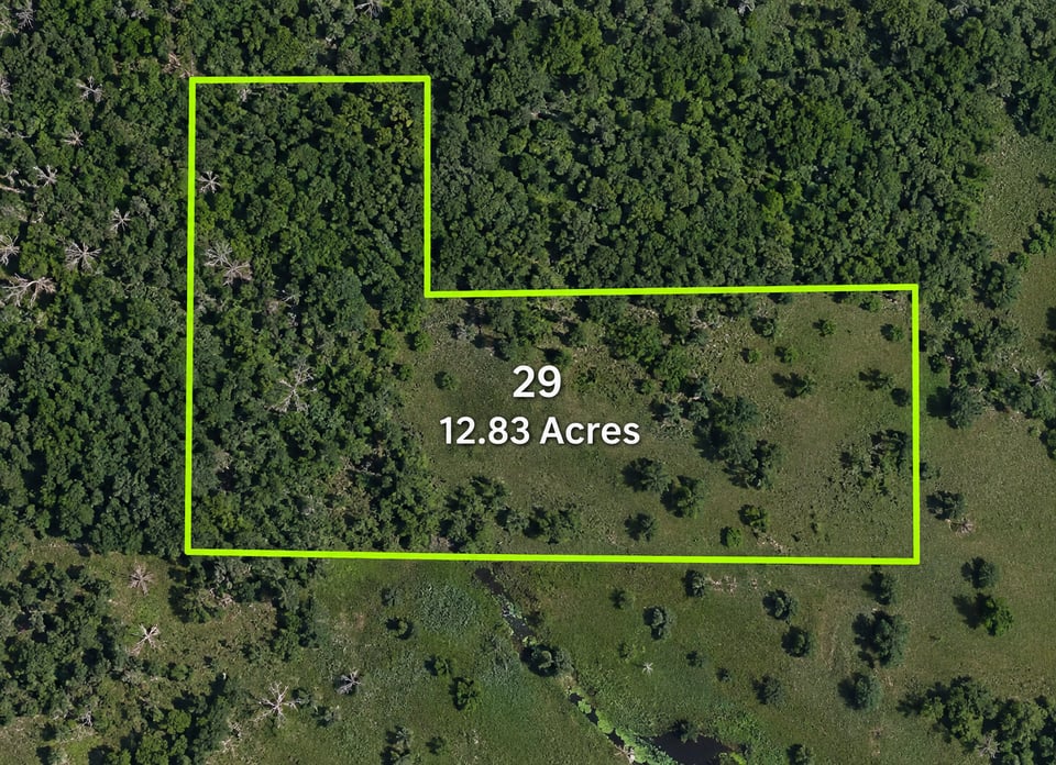 12 acres in Protem for lease