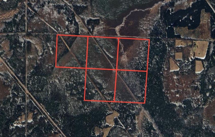 Remote Northwoods Hunting Lease