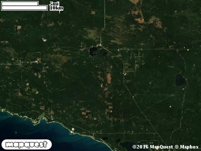 Carp River Red Pine