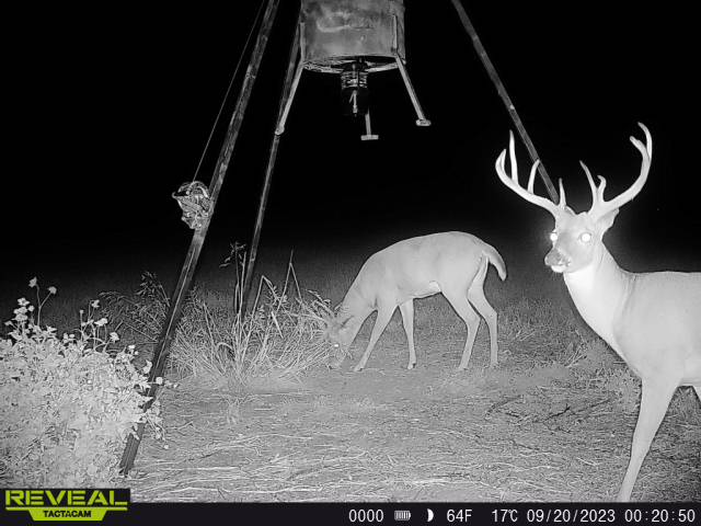 Hennesey, Oklahoma hunting land