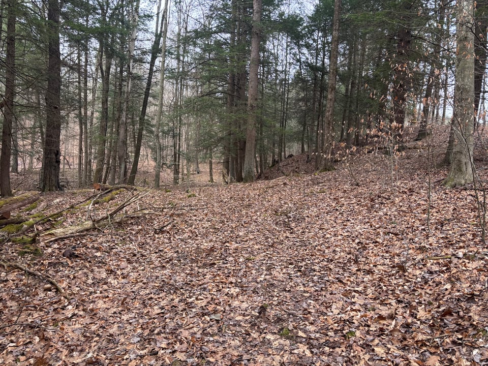 Tioga County Hunting Land