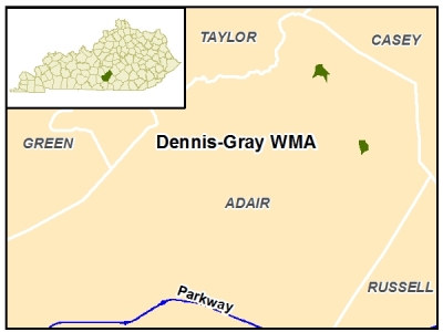 Dennis-Gray WMA