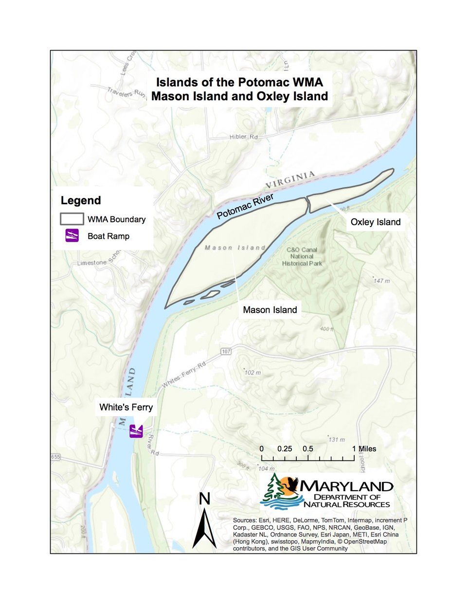 Deal Island WMA:
