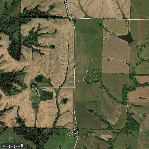 3 Full Days  Turkey Hunting land available in Macon Co.