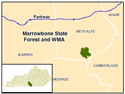 Marrowbone State Forest and WMA