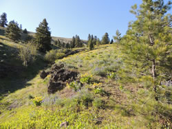 Colockum Wildlife Area