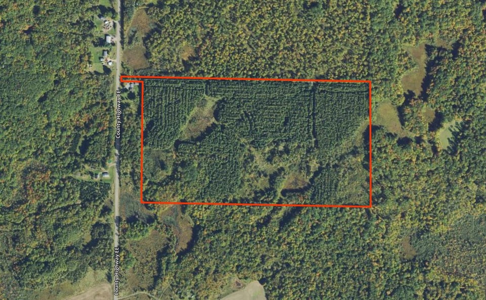 74 acres in Chippewa Co. for lease