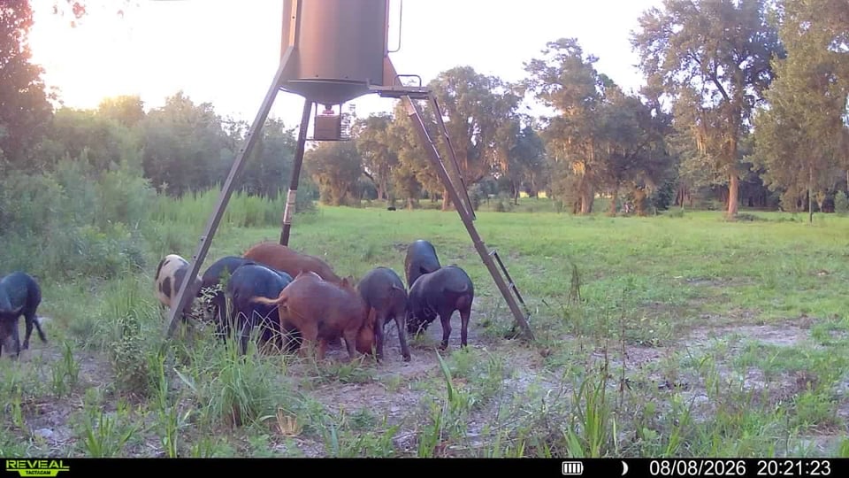 110 acres in Alachua Co. for lease