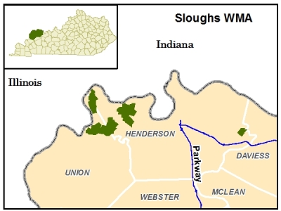 Sloughs WMA