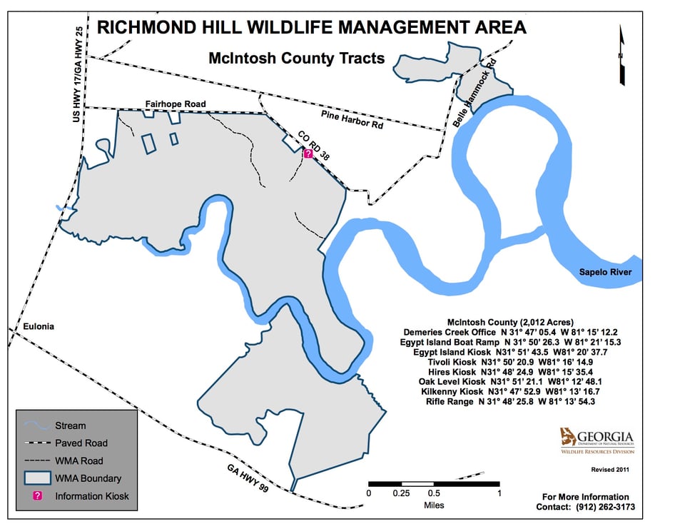 Richmond Hill McIntosh County Tract