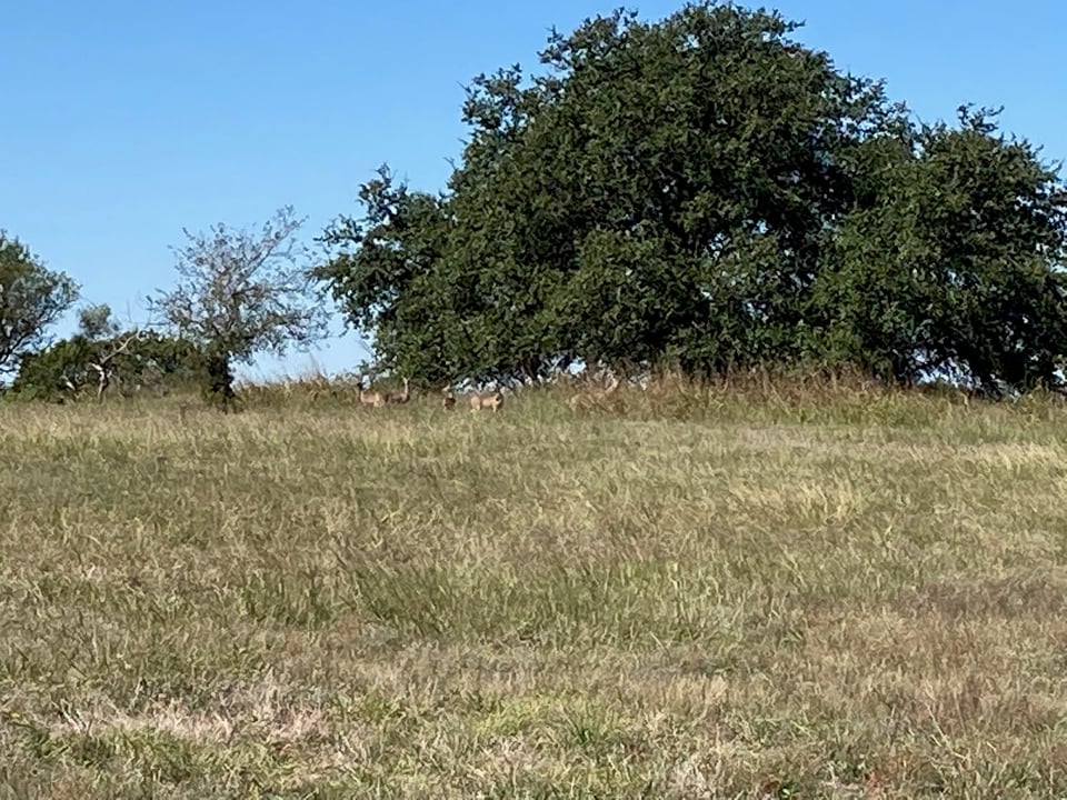 Lease available Mills, Texas