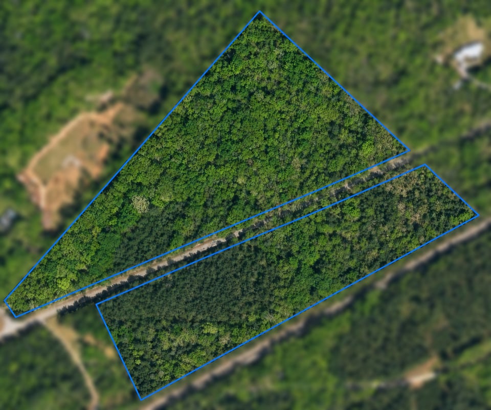 Hunting land - 45 acres, Chester, South Carolina