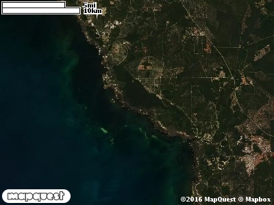 Tide Swamp