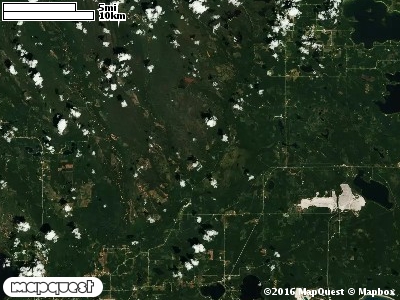 Seney Manistique Swamp
