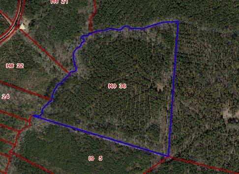 45 acres - Davis Bugg Rd, Warrenton, North Carolina