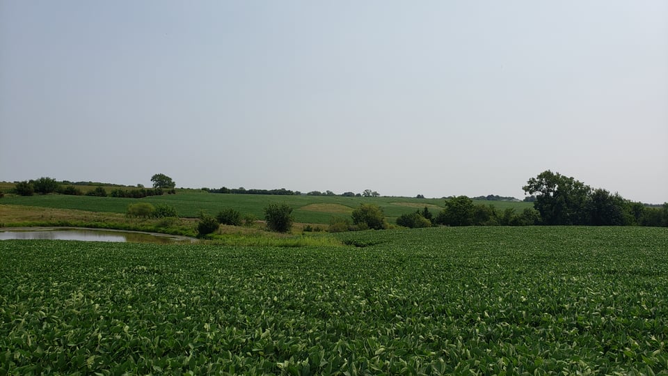 77 acres for lease in Knox