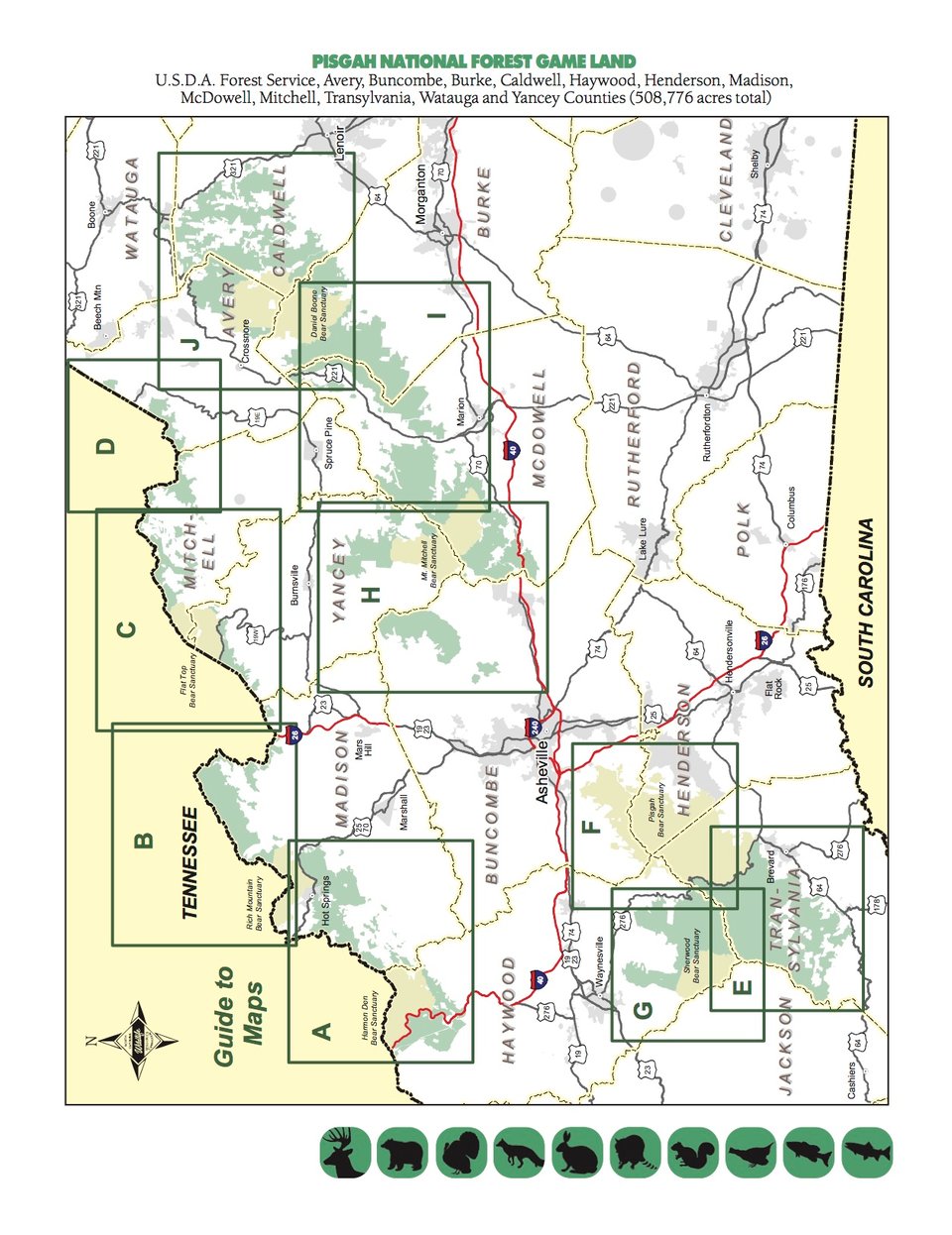 Pisgah National Forest Game Land