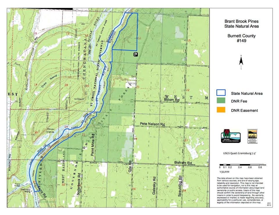 Brant Brook Pines State Natural Area
