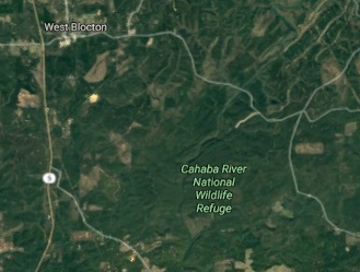 William Ireland Wildlife Management Area