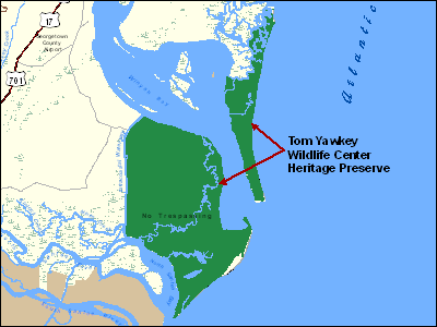 Tom Yawkey Wildlife Center Heritage Preserve