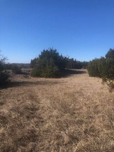 Nopalera Farm, Desdemona, Texas